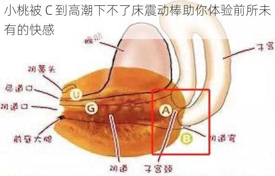 小桃被 C 到高潮下不了床震动棒助你体验前所未有的快感