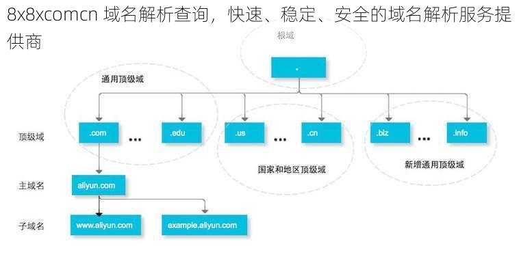 8x8xcomcn 域名解析查询，快速、稳定、安全的域名解析服务提供商