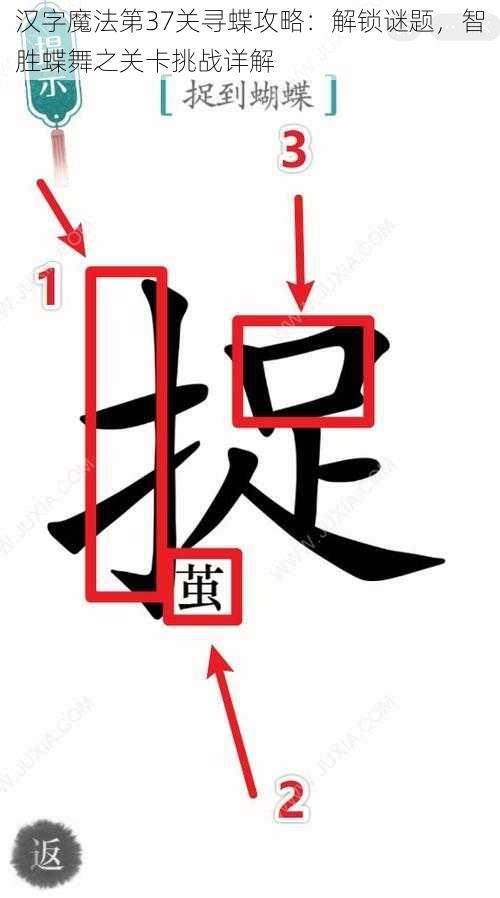 汉字魔法第37关寻蝶攻略：解锁谜题，智胜蝶舞之关卡挑战详解