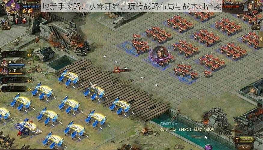 攻城掠地新手攻略：从零开始，玩转战略布局与战术组合实战指南