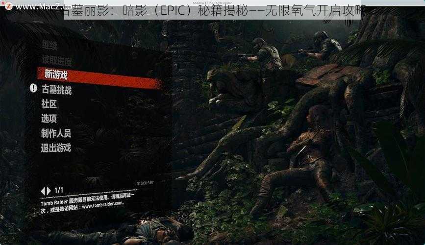 古墓丽影：暗影（EPIC）秘籍揭秘——无限氧气开启攻略