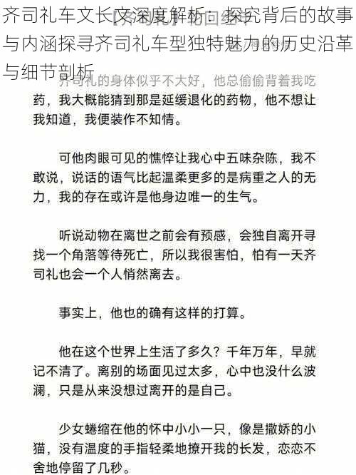 齐司礼车文长文深度解析：探究背后的故事与内涵探寻齐司礼车型独特魅力的历史沿革与细节剖析