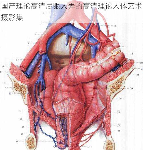 国产理论高清屁眼人弄的高清理论人体艺术摄影集