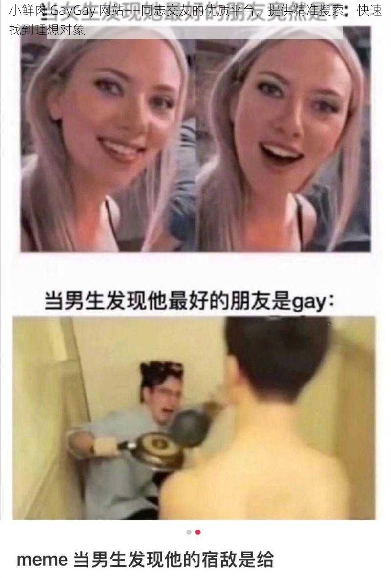 小鲜肉 GayGay 网站——同志交友的优质平台，提供精准搜索，快速找到理想对象