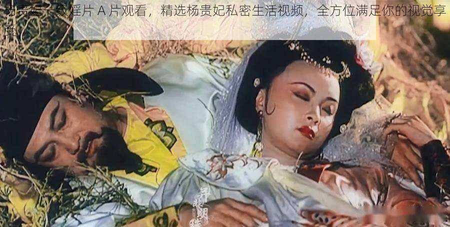 杨贵妃一级婬片 A 片观看，精选杨贵妃私密生活视频，全方位满足你的视觉享受