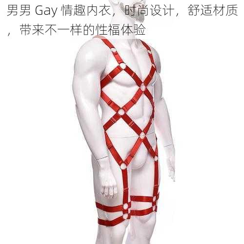 男男 Gay 情趣内衣，时尚设计，舒适材质，带来不一样的性福体验