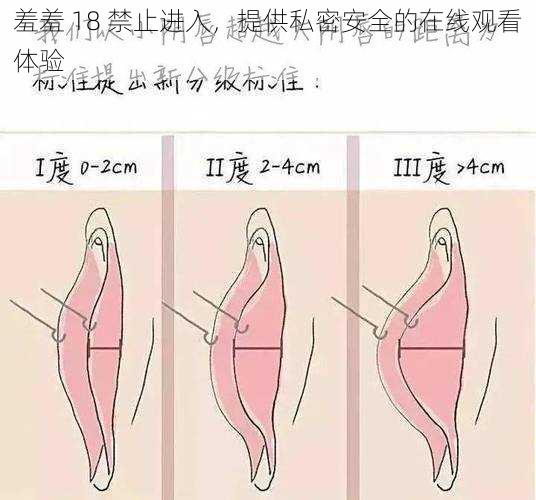 羞羞 18 禁止进入，提供私密安全的在线观看体验