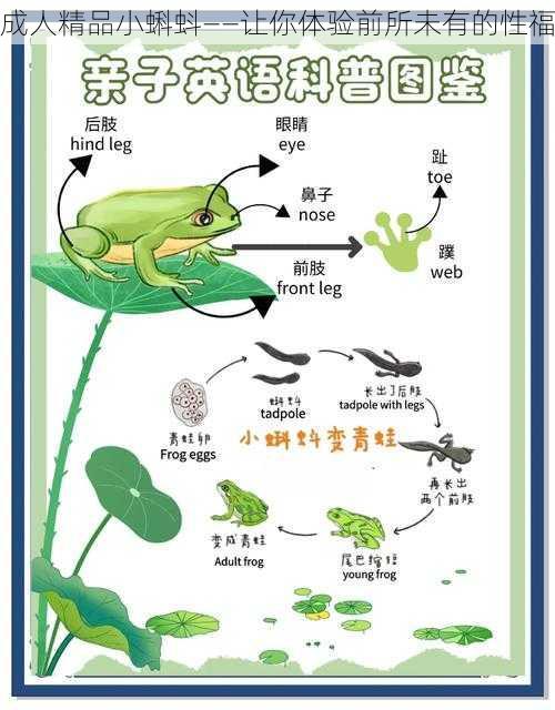 成人精品小蝌蚪——让你体验前所未有的性福