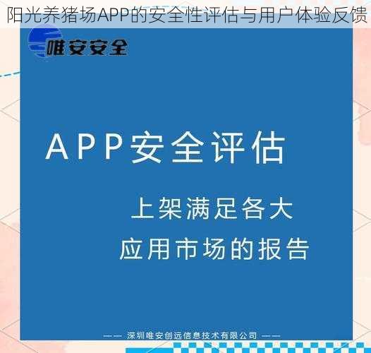 阳光养猪场APP的安全性评估与用户体验反馈