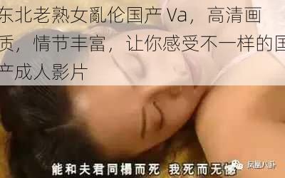 东北老熟女亂伦国产 Va，高清画质，情节丰富，让你感受不一样的国产成人影片