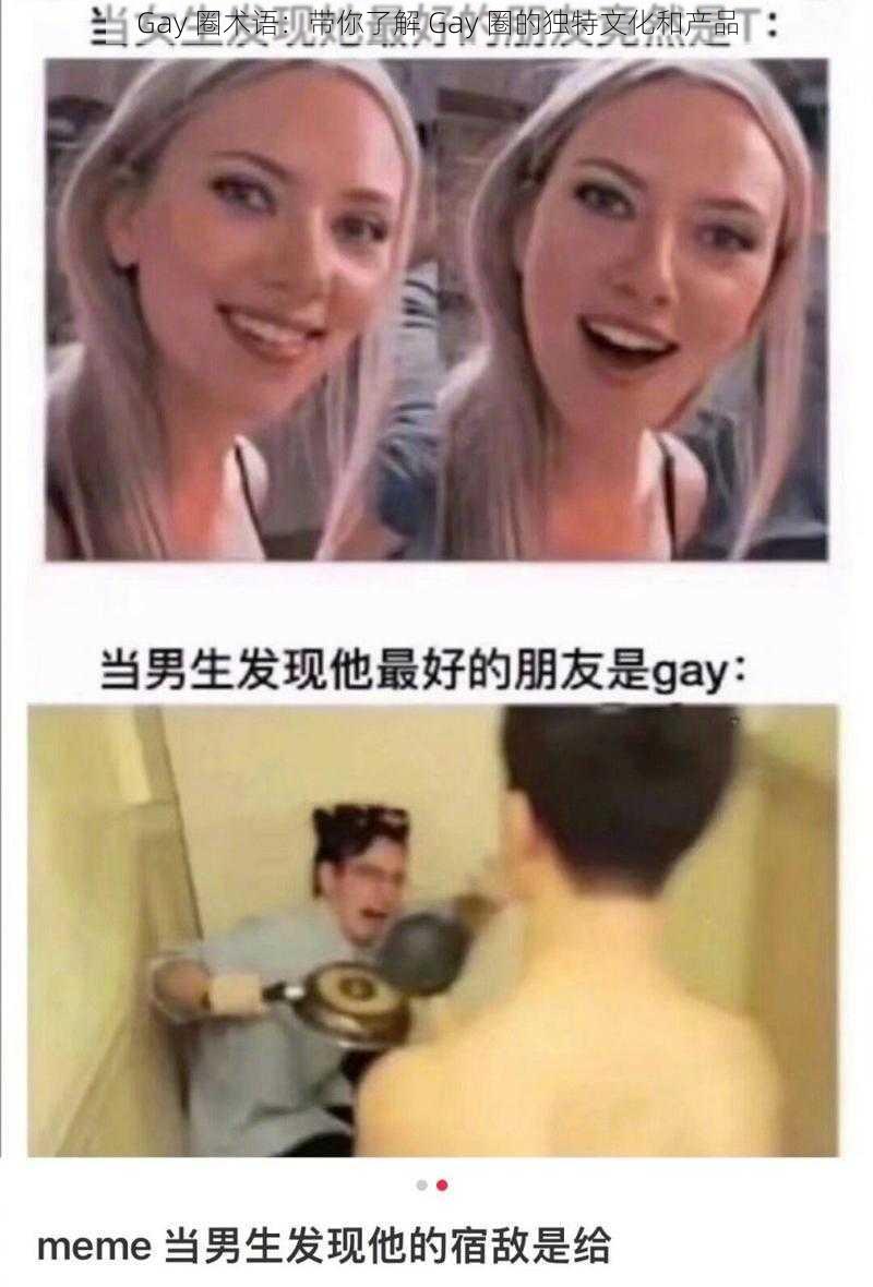 Gay 圈术语：带你了解 Gay 圈的独特文化和产品