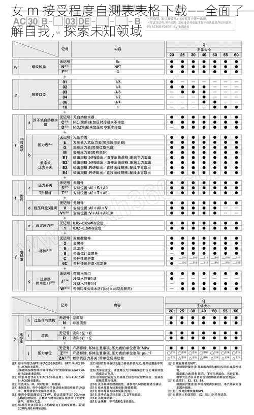 女 m 接受程度自测表表格下载——全面了解自我，探索未知领域