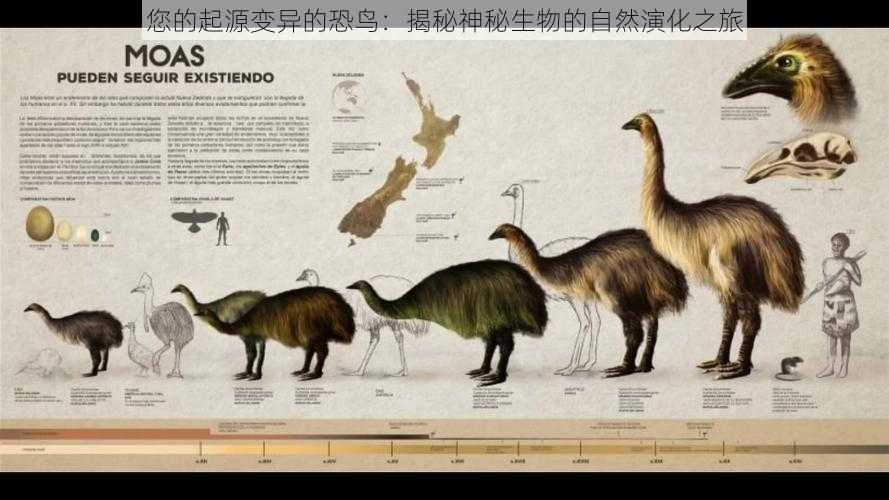 您的起源变异的恐鸟：揭秘神秘生物的自然演化之旅