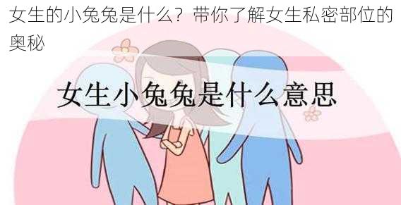 女生的小兔兔是什么？带你了解女生私密部位的奥秘