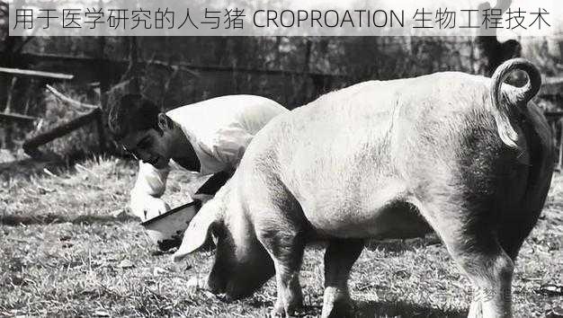 用于医学研究的人与猪 CROPROATION 生物工程技术