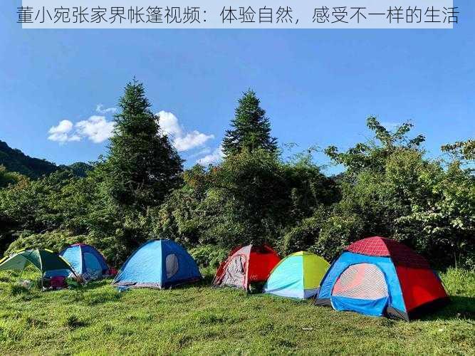 董小宛张家界帐篷视频：体验自然，感受不一样的生活