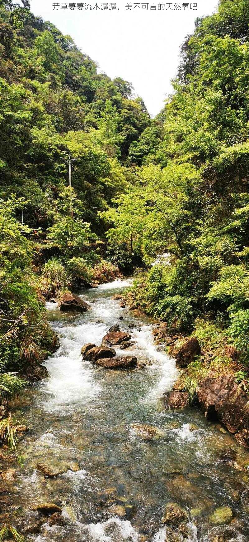 芳草萋萋流水潺潺，美不可言的天然氧吧