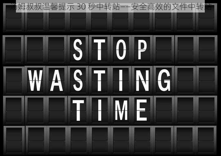 汤姆叔叔温馨提示 30 秒中转站——安全高效的文件中转站