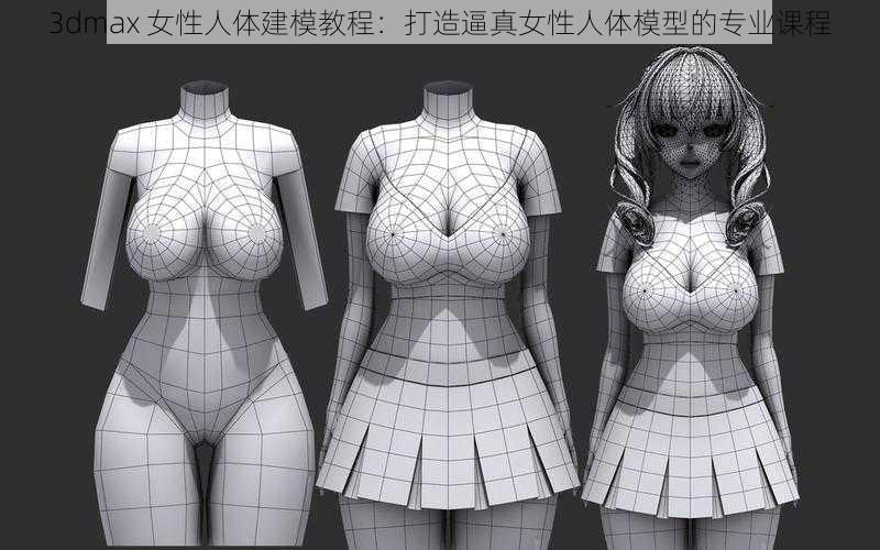 3dmax 女性人体建模教程：打造逼真女性人体模型的专业课程