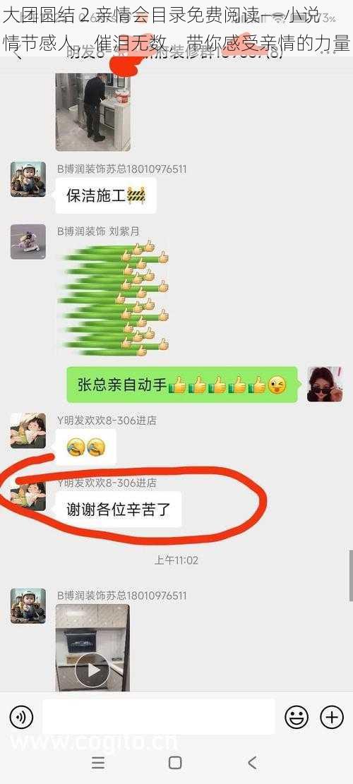 大团圆结 2 亲情会目录免费阅读——小说情节感人，催泪无数，带你感受亲情的力量