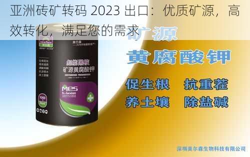 亚洲砖矿转码 2023 出口：优质矿源，高效转化，满足您的需求