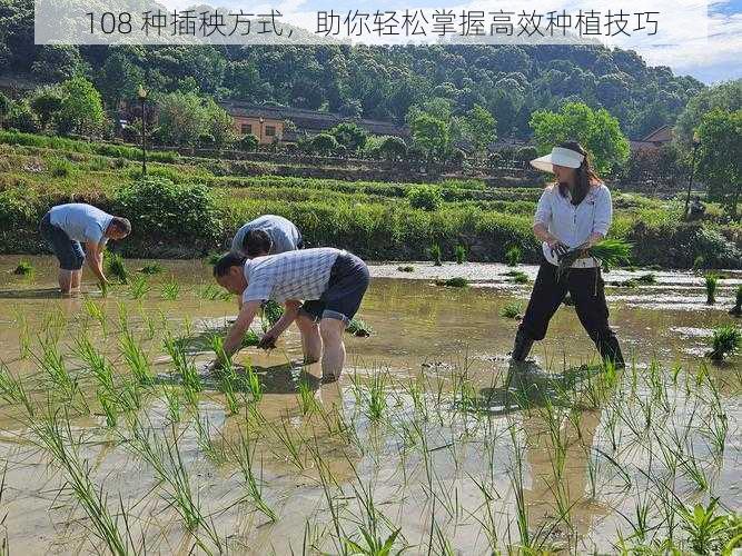 108 种插秧方式，助你轻松掌握高效种植技巧