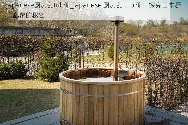 japanese厨房乱tub偷_Japanese 厨房乱 tub 偷：探究日本厨房乱象的秘密