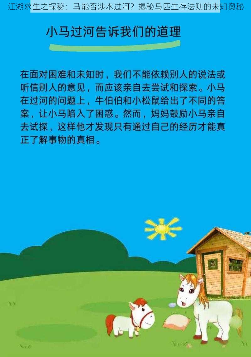 江湖求生之探秘：马能否涉水过河？揭秘马匹生存法则的未知奥秘