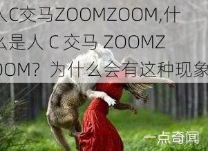 人C交马ZOOMZOOM,什么是人 C 交马 ZOOMZOOM？为什么会有这种现象？