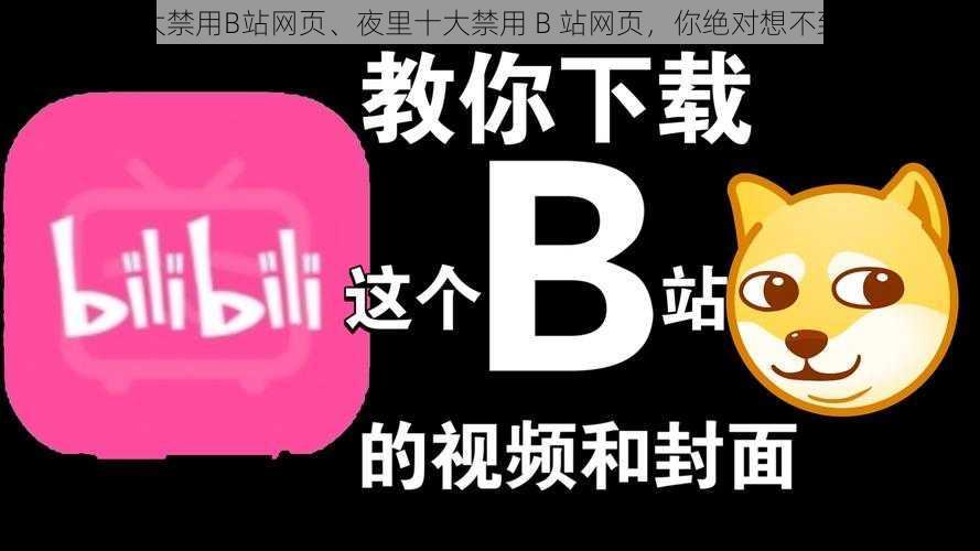 夜里十大禁用B站网页、夜里十大禁用 B 站网页，你绝对想不到的原因