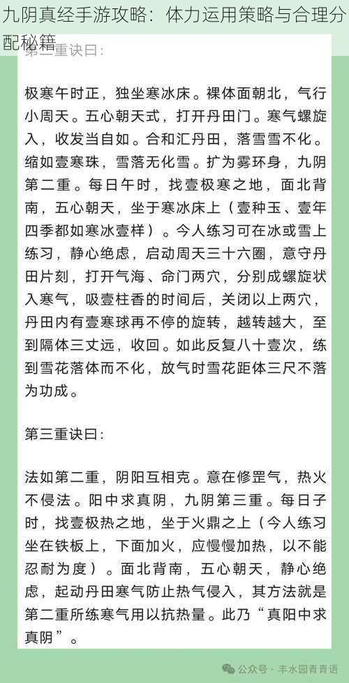 九阴真经手游攻略：体力运用策略与合理分配秘籍