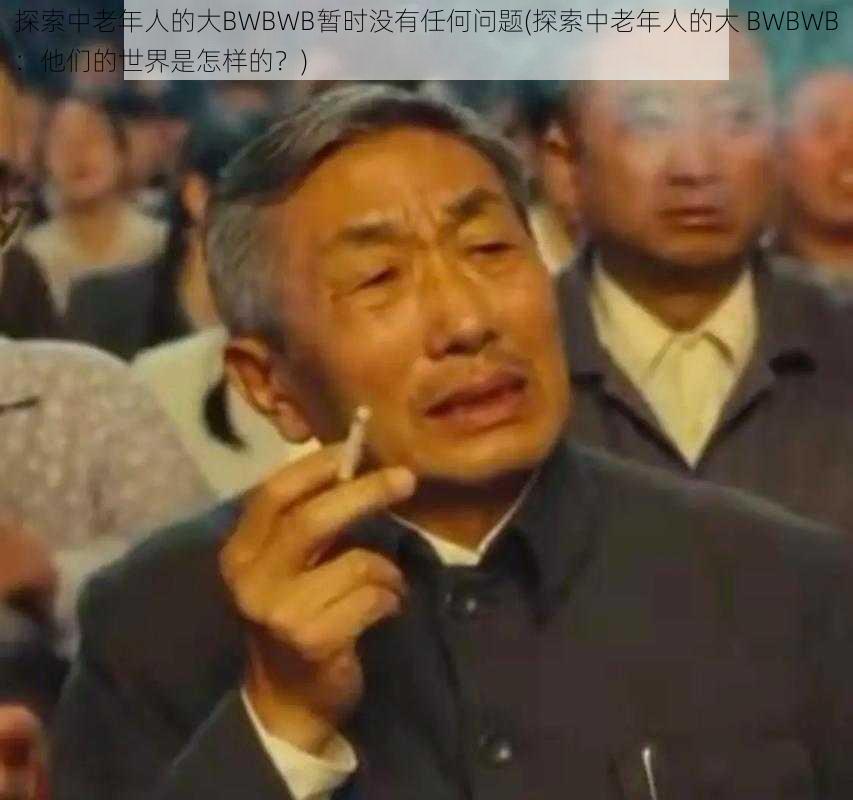 探索中老年人的大BWBWB暂时没有任何问题(探索中老年人的大 BWBWB：他们的世界是怎样的？)