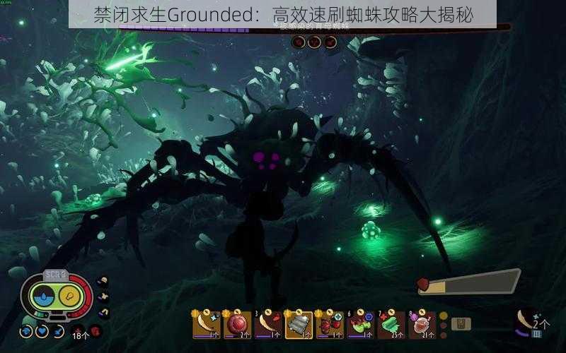 禁闭求生Grounded：高效速刷蜘蛛攻略大揭秘