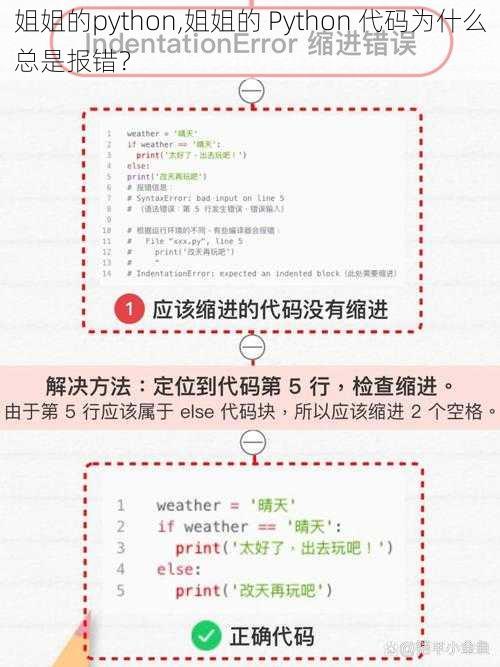 姐姐的python,姐姐的 Python 代码为什么总是报错？