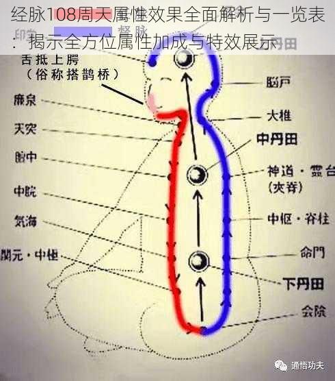 经脉108周天属性效果全面解析与一览表：揭示全方位属性加成与特效展示