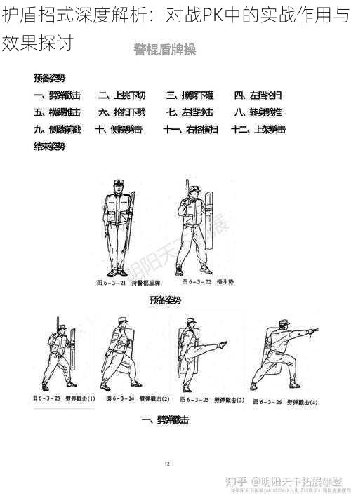 护盾招式深度解析：对战PK中的实战作用与效果探讨