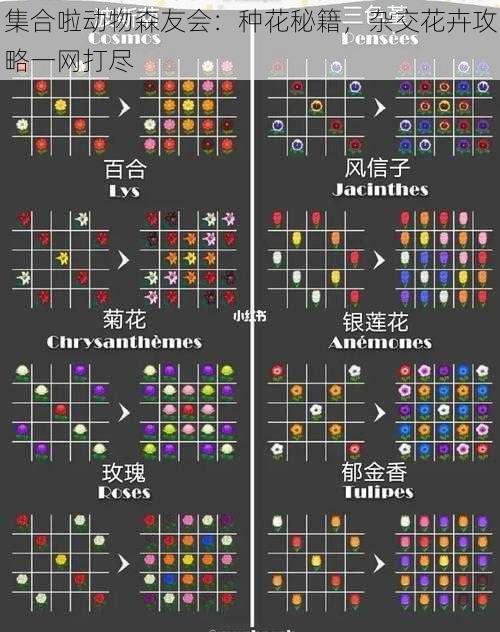 集合啦动物森友会：种花秘籍，杂交花卉攻略一网打尽