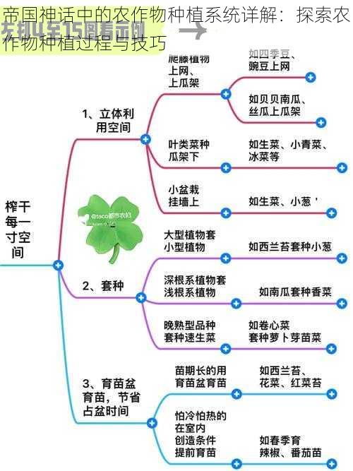 帝国神话中的农作物种植系统详解：探索农作物种植过程与技巧