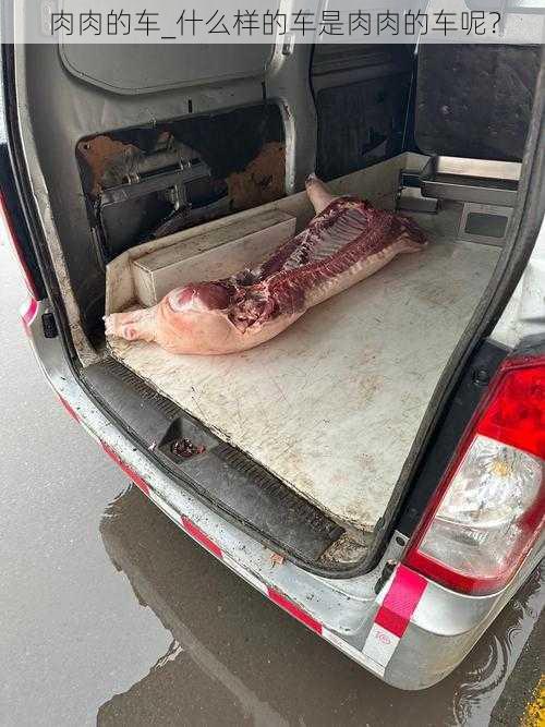 肉肉的车_什么样的车是肉肉的车呢？