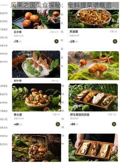 风来之国美食探秘：全料理菜谱概览