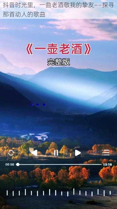 抖音时光里，一曲老酒敬我的挚友——探寻那首动人的歌曲