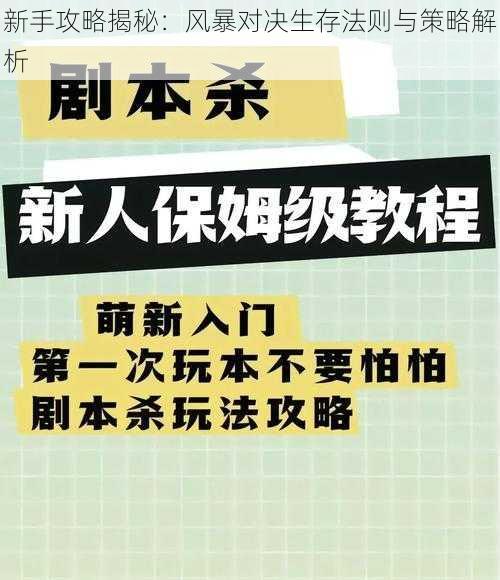 新手攻略揭秘：风暴对决生存法则与策略解析