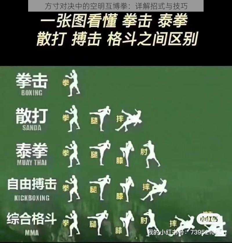 方寸对决中的空明互博拳：详解招式与技巧