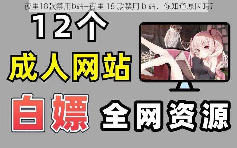 夜里18款禁用b站—夜里 18 款禁用 b 站，你知道原因吗？