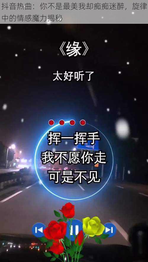 抖音热曲：你不是最美我却痴痴迷醉，旋律中的情感魔力揭秘