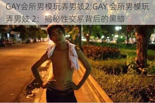 GAY会所男模玩弄男妓2;GAY 会所男模玩弄男妓 2：揭秘性交易背后的黑暗