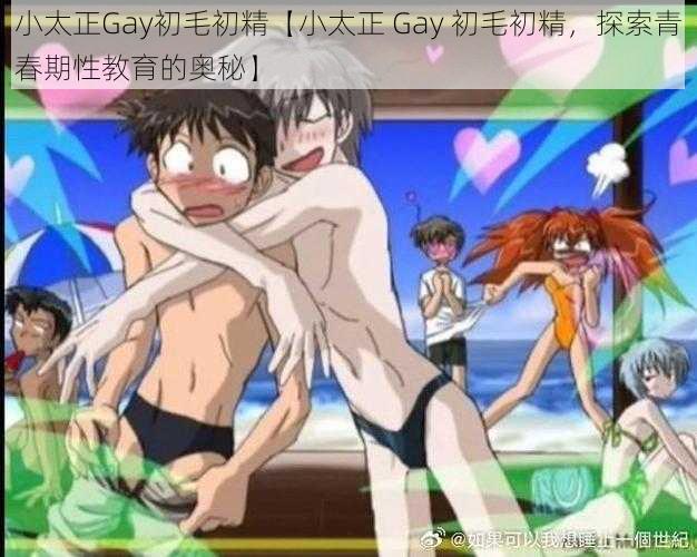 小太正Gay初毛初精【小太正 Gay 初毛初精，探索青春期性教育的奥秘】