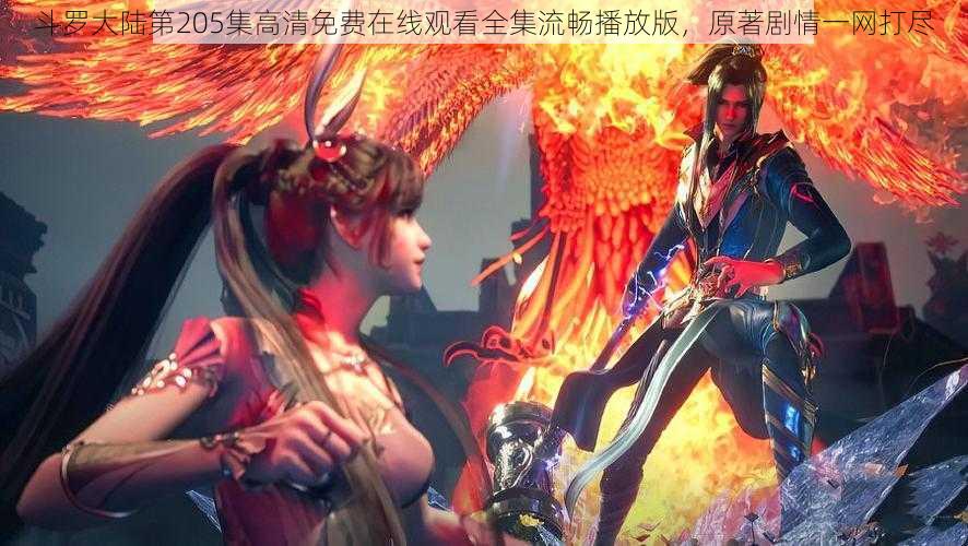 斗罗大陆第205集高清免费在线观看全集流畅播放版，原著剧情一网打尽