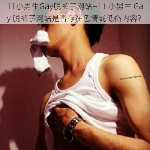 11小男生Gay脱裤子网站—11 小男生 Gay 脱裤子网站是否存在色情或低俗内容？