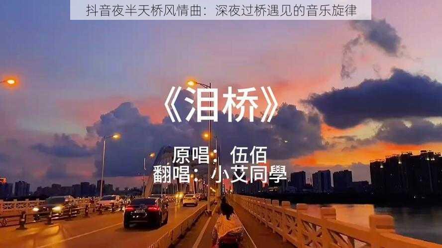 抖音夜半天桥风情曲：深夜过桥遇见的音乐旋律